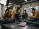 personal-brand-youtube-so-baust-du-eine-starke-expertenmarke-auf